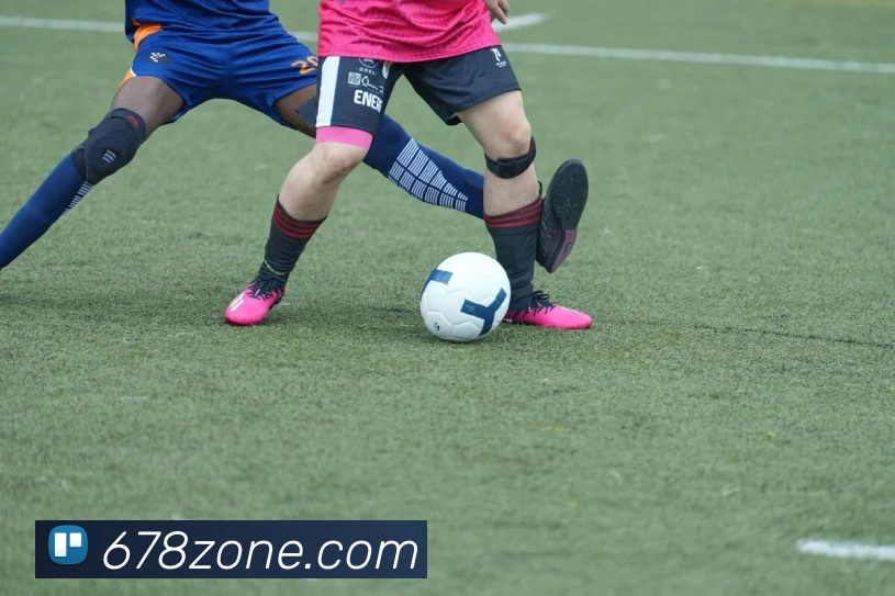 678体育官网APP 封面图